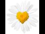 10 Ways to Honor Thyself