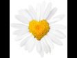 10 Ways to Honor Thyself
