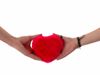 Two hands holding heart