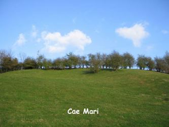 Cae Mari