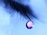 Close up of a tear