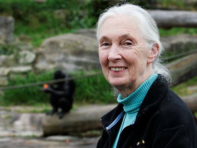 Jane Goodall