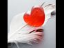 Angels Guide to Love and Dating