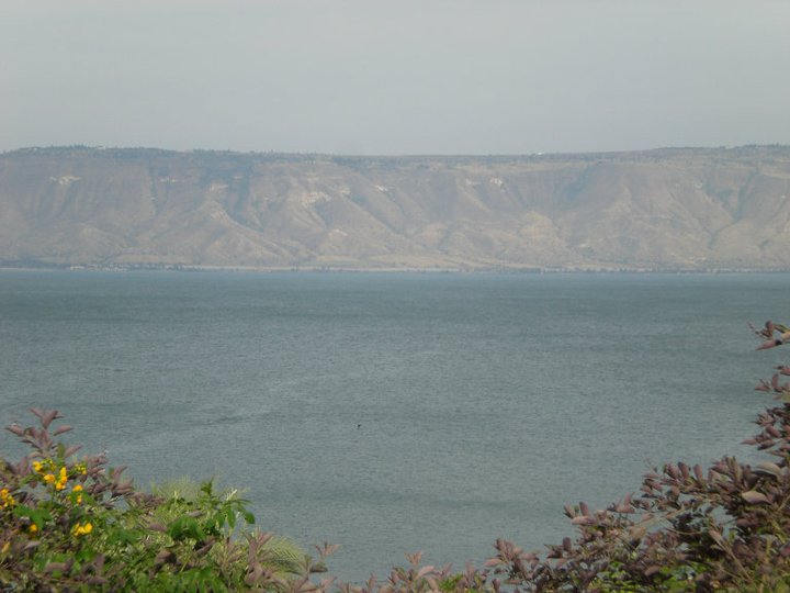 Slide Image