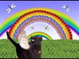 Angel Pets