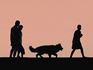 Pet Loss Meditations