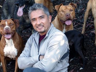 Cesar Millan the Dog Whisperer Twitter