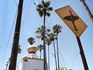 California, Eric Davis, Conscious California, Spiritual California, Scientology