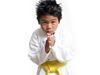little boy karate