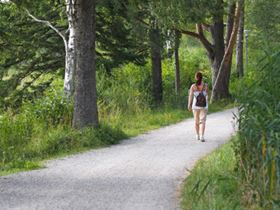 Woman walking on a path