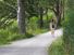 Woman walking on a path