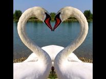 Soul Mates Have a Different Kind of Love