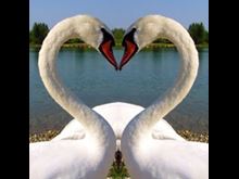 Soul Mates Have a Different Kind of Love