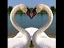 Soul Mates Have a Different Kind of Love