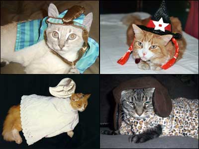 Halloween Cat Costumes
