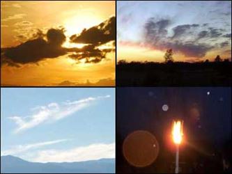 Angel Sightings
