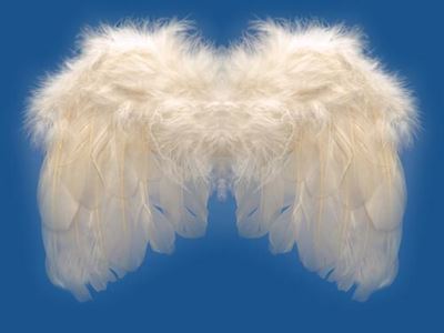Angels-Angel Wings