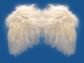 Angels-Angel Wings