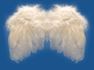 Angels-Angel Wings