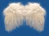 Angels-Angel Wings