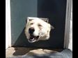 More Funny Photos