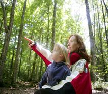 Witnessing the Bond in Families