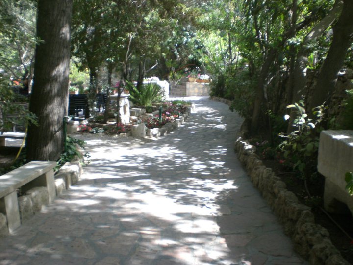 Slide Image