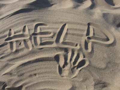 Slide Image