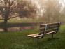 Grief and Loss