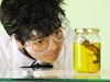 kid scientest