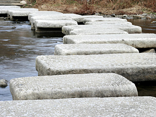 Slide Image