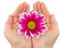 Increase Acts of Kindness