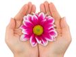 Increase Acts of Kindness