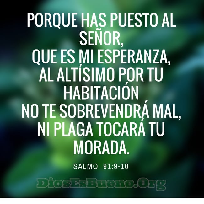 Dir&eacute; yo a Jehov&aacute;: Esperanza m&iacute;