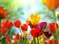 Beliefnet Guide to Easter