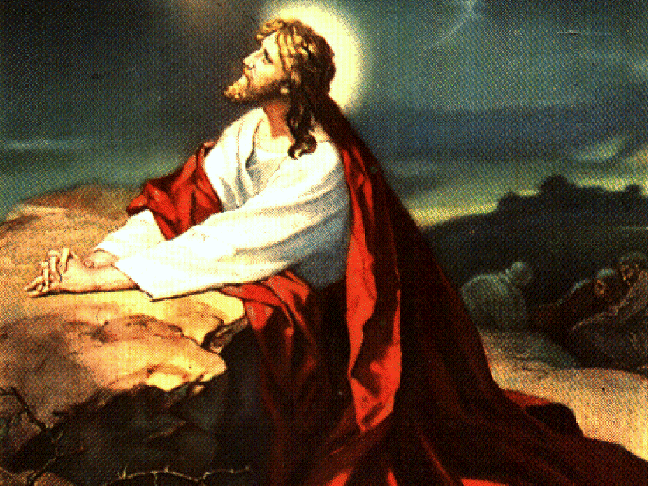 Slide Image