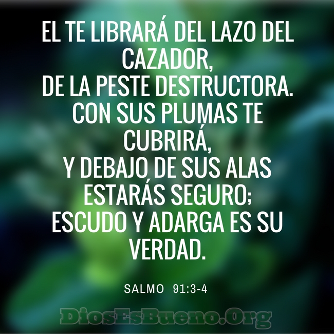 Dir&eacute; yo a Jehov&aacute;: Esperanza m&iacute;