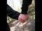 Couple holding hands