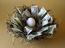 Nest egg. Money in a nest surrounding an egg
