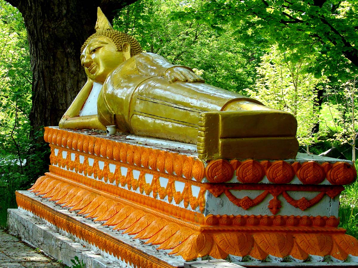 Slide Image