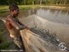 Provide a Food Source