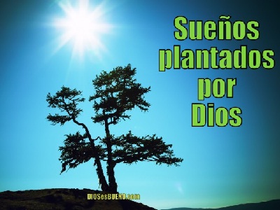 Seis razones para seguir luchando por tus sueños