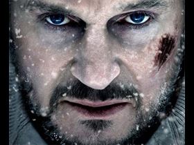 The Grey