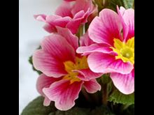 10 Ways to Grow
