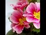 10 Ways to Grow