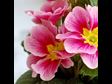 10 Ways to Grow