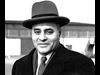 ralph johnson bunche