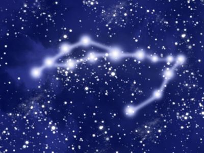 Quiz:Your Pisces IQ