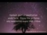Five Minute Meditation