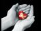heart in hands